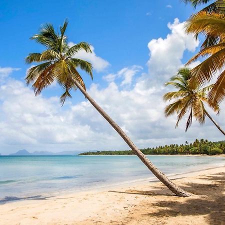 Appartement Ker-Eol Residence Canouan Sainte-Anne Avec Piscine 外观 照片