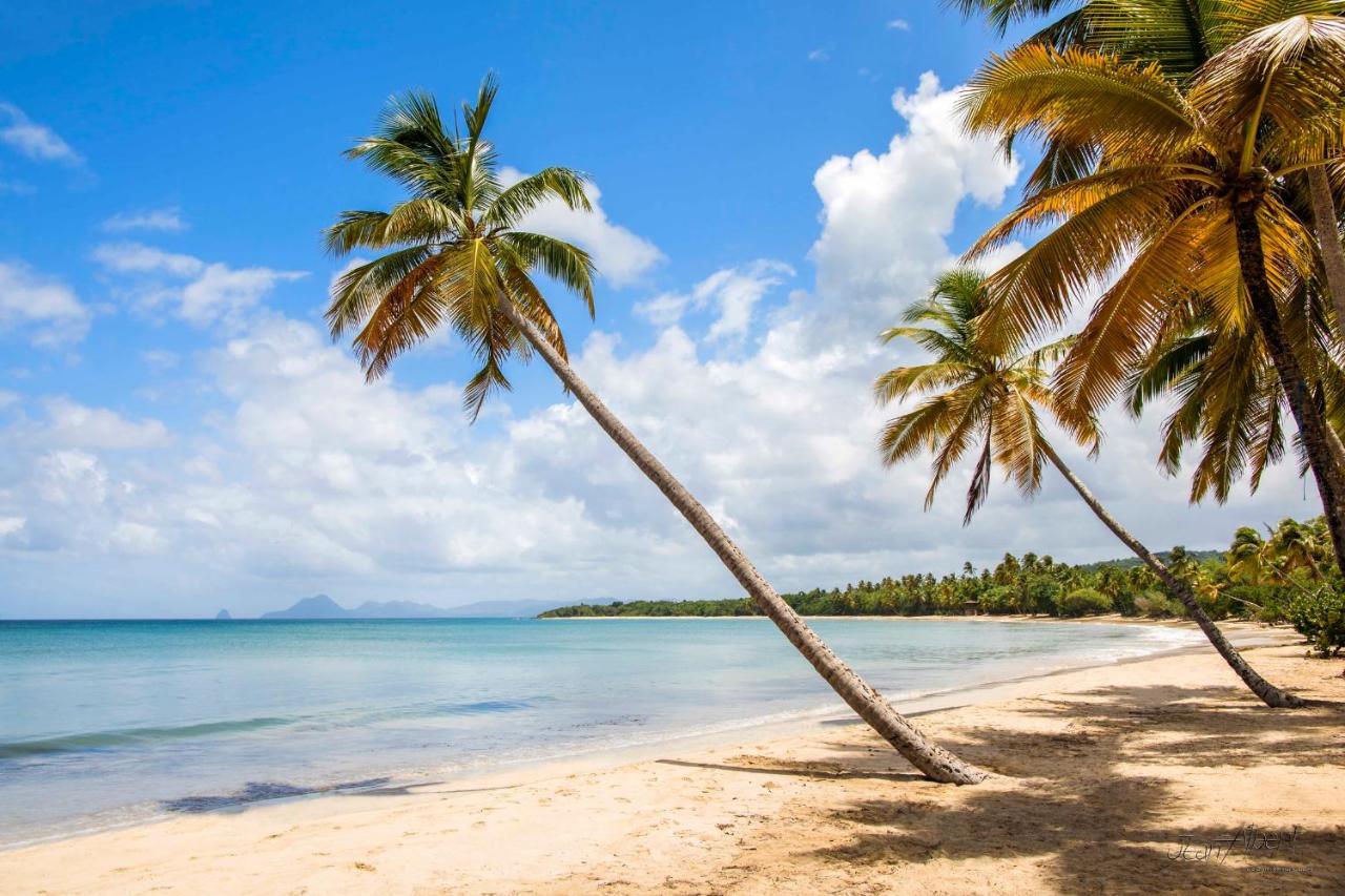 Appartement Ker-Eol Residence Canouan Sainte-Anne Avec Piscine 外观 照片